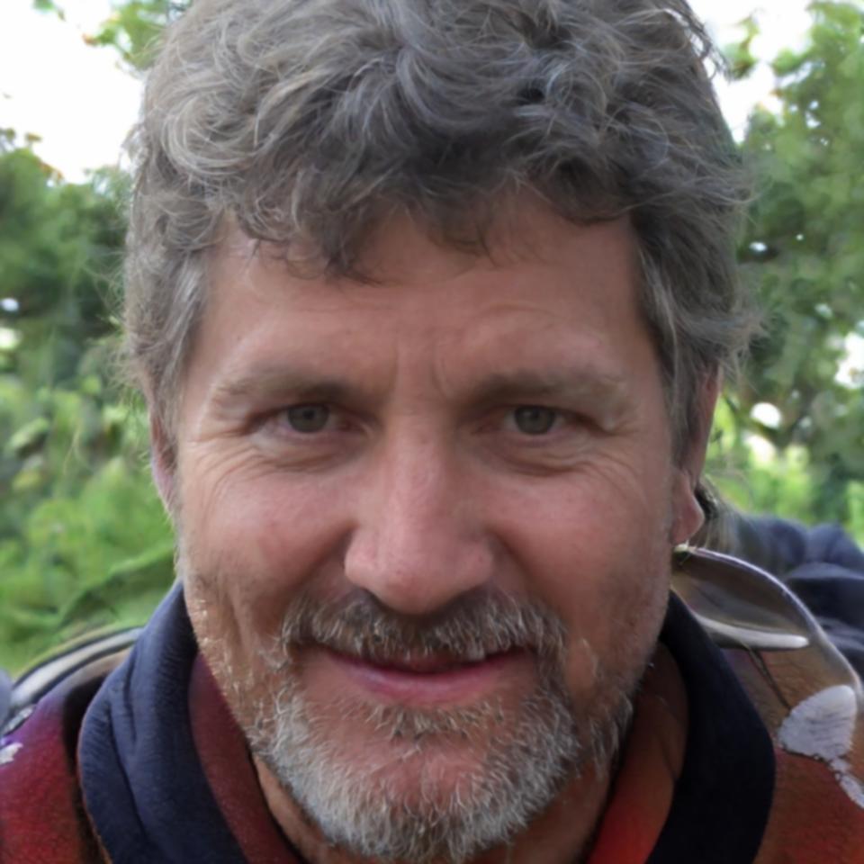 Director de análisis financiero de megoraforward